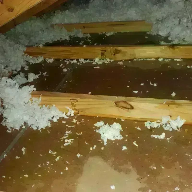 Attic Water Damage in Montrose, CO