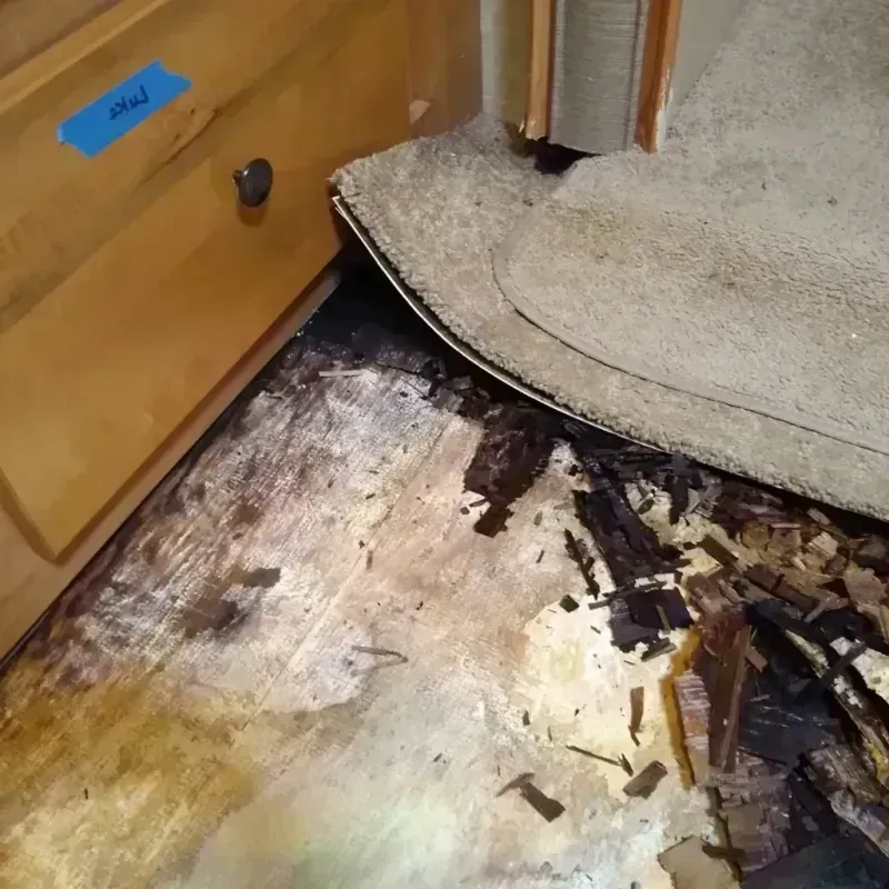 Best Wood Floor Water Damage Service in Montrose, CO